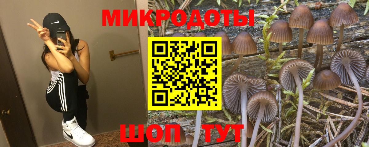 Галлюциногенные грибы Psilocybine cubensis  Вход с VPN  Приморско-Ахтарск 