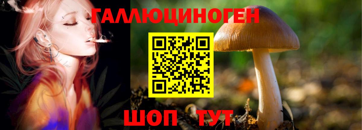 Галлюциногенные грибы GOLDEN TEACHER Приморско-Ахтарск